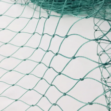 18-Strands 2CM 3CM 4CM Hole Size Heavy Anti Bird Netting,Poultry Aviary Knotted Polyethylene Protection Net thumbnail-2