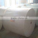 100% Polyester Felt for Waterproof Membrane thumbnail-1