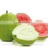 Pink ,White Guava Export in India thumbnail-4