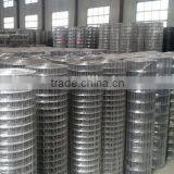 Welded Wire Mesh thumbnail-3