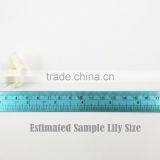 Lily Pink Brown Cream Mixed Handmade Mulberry Paper Flower, Wedding Party, Scrap-booking Crafts, Wholesale thumbnail-4