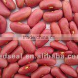 Organic Pink Kidney Beans 2016