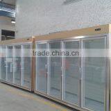 Glass Door Display Freezer Remote Compressor