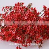 Valentine's Day Wholesale Fresh Cut Red Wintersweet Flower thumbnail-1