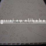 Delicate Strip Ceiling thumbnail-1