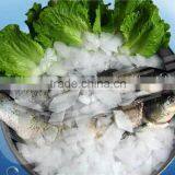 Small Footprint Flake Ice Machinery For Shopping Mmall thumbnail-6