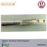 Diesel Glow Plug 12653554
