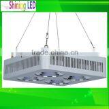 12W - 1000W 120W 180W LED Plant Grow Light Apollo or Par Light Par30 Par38 E27 Base