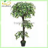 indoor plasitc ficus/benjamin tree