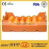 Corrugated Plastic Food Packaging Box