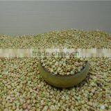 Chinese Best Raw Buckwheat Kernel thumbnail-4
