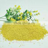 High purity bee bread bulk rape bee pollen for good price