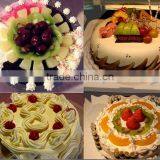 Hydraulic Grease Gun With Nozzles /baking Tools/grease Gun thumbnail-6