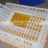 Best Price Poultry Slaughterhouse Equipment Living Poultry Cag Butchery Equipment of Poultry Slaughter Line thumbnail-6