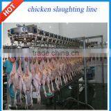High Quality Stainless Steel Poultry Slaughterhouse Line Used for Chicken and Duck