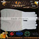 Best Selling Bee Tools! Beekeeping Gloves Bee Tool for Sell thumbnail-1