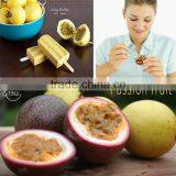 NEWEEK 0.5-5t/h 3 Function Passion Fruit Juice Pulp Making Machine Price thumbnail-5