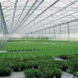 Light Frame Steel Structure Building for Greenhouse, Poultry Farm With Really Low Cost thumbnail-4