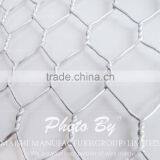 Electro Galvanized Hex Chicken Wire Mesh
