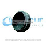 Customized Round Head Parallel Pipe Plugs thumbnail-5