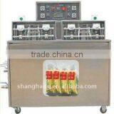 Bagged Tofu Filling & Sealing Machine-Bagged Tofu Packaging Machine thumbnail-1