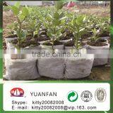 Eco-friendly 100%pp Spunbond Nonwoven Fabric for Agriculturel / Garden thumbnail-5