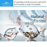 Fish Shape Type Bowl Vase, Glass Fish Vase thumbnail-1