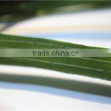 Home and Outdoor Garden Table Wedding Gate Decoration 60cm or 24inches H Artificial Fake Hands Yellow Onion Flowers E04 0607 thumbnail-5