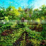 Decorative Home Decor Fake Green Wall Custom Factory Uv/water Proof Artificial Grass Wall thumbnail-5