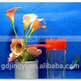 600ML PCTG Sports Water Bottle,plastic Water Cup thumbnail-3