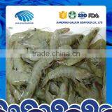 BQF frozen shrimp with faster delivery for all kinds of sizes