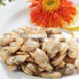 Good Quality Frozen Boiled Short Necked Clam thumbnail-1
