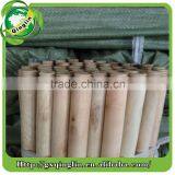 Household Cleaning Tool Handle Natural Wood Broom Stick/wooden Broom Handle thumbnail-3
