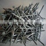 Steel Iron Nails 1-1/2"& 1-1/4" With Cap on Hot Sale thumbnail-3