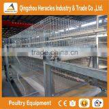 Trade Assurance Factory Price H Type Chicken Layer Cage for Broiler thumbnail-3