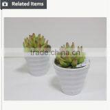 Cheap Artificial Bonsai Plants Fake Mini Bonsai Wholesale High Quality Artificial Bonsai thumbnail-4