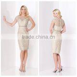 Latest Fashion Formal Lace Short Office Formal Evening Dress thumbnail-1