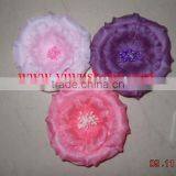 Peony Flower thumbnail-1