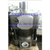 QT42-31.5-BP Internal Gear Pump thumbnail-3