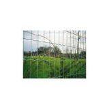 Euro welded mesh fence