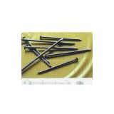 Supply common steel nail