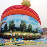0.55MM Plato PVC Tarpaulin Commercial Rainbow Inflatable Water Slide For Children Events thumbnail-3
