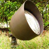 Spot Light thumbnail-2