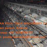 Poultry Chicken Farm A Type Battery Broiler Chicken Galvanized Cage Equipment to Improve Chicken Meat Production in Yemen