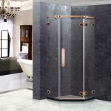 SD-A1001 glass shower doors