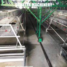 Chicken Cages for Sale thumbnail-4