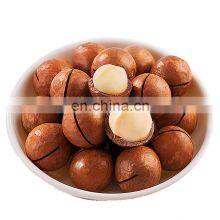 Sea Freight Philippines Cheap Price Door to Door Delivery Ready to Eat Macadamia Nut for Sale thumbnail-5