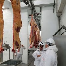 Pig Cattle Sheep Slaughtering Line Equipment Muslim Halal Food Deep Processing Equipment Abattoir Machinery And Equipment