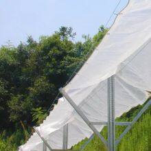 Transparent Poly Coated Tarpaulin Sheet for Agriculture and Cherry Tree Cover thumbnail-5