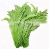 buy feathers natural rooster feather for decoration